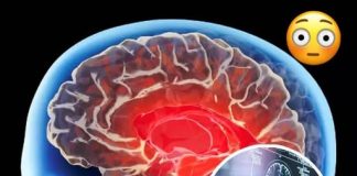 4 WARNING SIGNS YOUR BRAIN MAY BE AT RISK — ALZHEIMER’S CAN BEGIN YEARS BEFORE YOU NOTICE