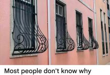 Curved grilles: what do they mean?