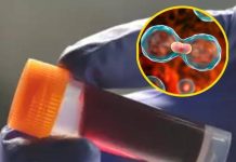 Understanding the Link Between Your Blood Type and Health