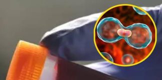 Understanding the Link Between Your Blood Type and Health