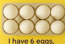 The 6-Egg Riddle — Answer Revealed
