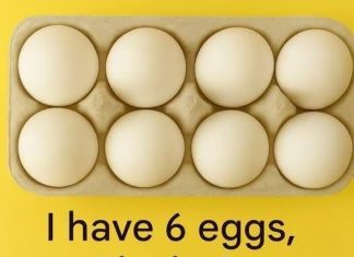 The 6-Egg Riddle — Answer Revealed