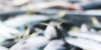 WARNING — STOP EATING THIS FISH IMMEDIATELY: A COMPLETE HEALTH ALERT & SCIENCE REVIEW (WHAT YOU MUST KNOW BEFORE IT’S TOO LATE)