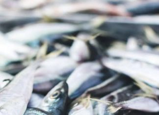 WARNING — STOP EATING THIS FISH IMMEDIATELY: A COMPLETE HEALTH ALERT & SCIENCE REVIEW (WHAT YOU MUST KNOW BEFORE IT’S TOO LATE)