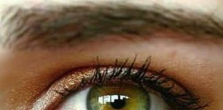 THE IRIS CODE: HERE’S HOW YOUR EYE COLOR CAN INTRIGUINGLY REVEAL EVERY ASPECT OF YOUR PERSONALITY