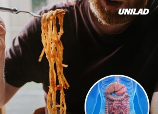 Man ate one meal a day for 7 days and revealed major impact it had on his body