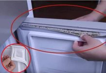 How to Clean Refrigerator Rubber Gasket Mold in Just 5 Minutes