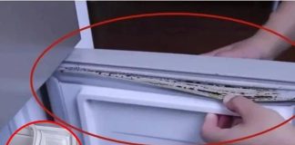 How to Clean Refrigerator Rubber Gasket Mold in Just 5 Minutes