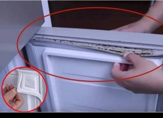 How to Clean Refrigerator Rubber Gasket Mold in Just 5 Minutes