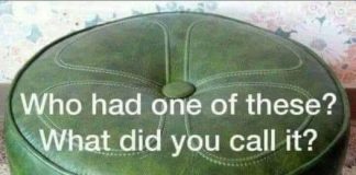 Who Else Grew Up With This Green Seat Sitting Quietly in the Corner of the Living Room — the One Everyone Used but No One Owned, the One That Was a Footrest, a Chair, a Storage Box, and Somehow a Piece of Childhood All at Once… and What Did Your Family Call It Back Then?