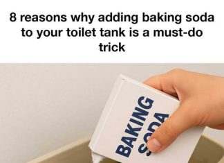 8 reasons why adding baking soda to your toilet tank is a must-do trick