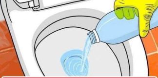 8 EASY TIPS TO KEEP YOUR BATHROOM SMELLING FRESH ALL DAY