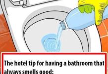 8 EASY TIPS TO KEEP YOUR BATHROOM SMELLING FRESH ALL DAY