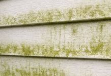 My neighbor taught me this trick to clean green algae off siding with 0 effort. Here’s how it works