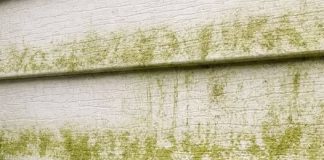 My neighbor taught me this trick to clean green algae off siding with 0 effort. Here’s how it works