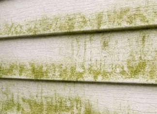 My neighbor taught me this trick to clean green algae off siding with 0 effort. Here’s how it works