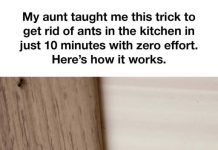 Tried Many Things Before, But This Hack Does the Job for Me!