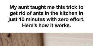 Tried Many Things Before, But This Hack Does the Job for Me!