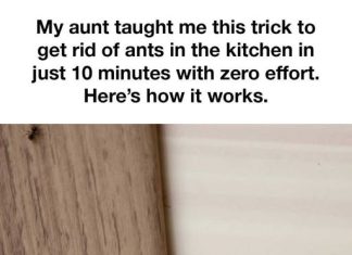 Tried Many Things Before, But This Hack Does the Job for Me!