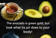 We peel it, we cut it, we enjoy it… then we mechanically throw its core in the trash. What if, for years, we have been missing out on something interesting? Recent work has brought back the avocado pit, this neglected part that could well change our view of this fruit that is already the star of our plates.