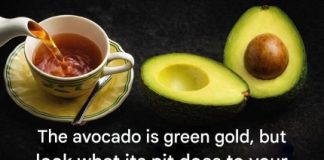 We peel it, we cut it, we enjoy it… then we mechanically throw its core in the trash. What if, for years, we have been missing out on something interesting? Recent work has brought back the avocado pit, this neglected part that could well change our view of this fruit that is already the star of our plates.