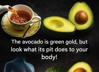 We peel it, we cut it, we enjoy it… then we mechanically throw its core in the trash. What if, for years, we have been missing out on something interesting? Recent work has brought back the avocado pit, this neglected part that could well change our view of this fruit that is already the star of our plates.