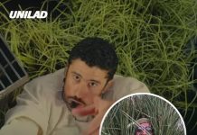 Man who was a moving bush in Bad Bunny’s Super Bowl halftime show reveals strict requirements for role