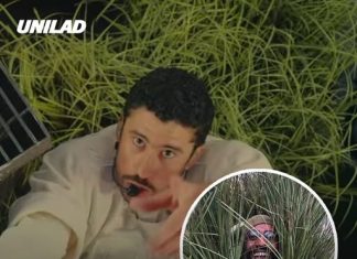 Man who was a moving bush in Bad Bunny’s Super Bowl halftime show reveals strict requirements for role