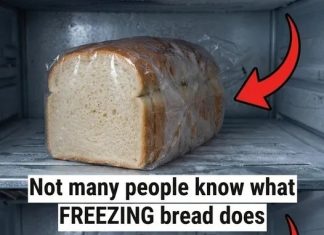 Freezing Bread? Here’s How to Prevent It From Drying Out