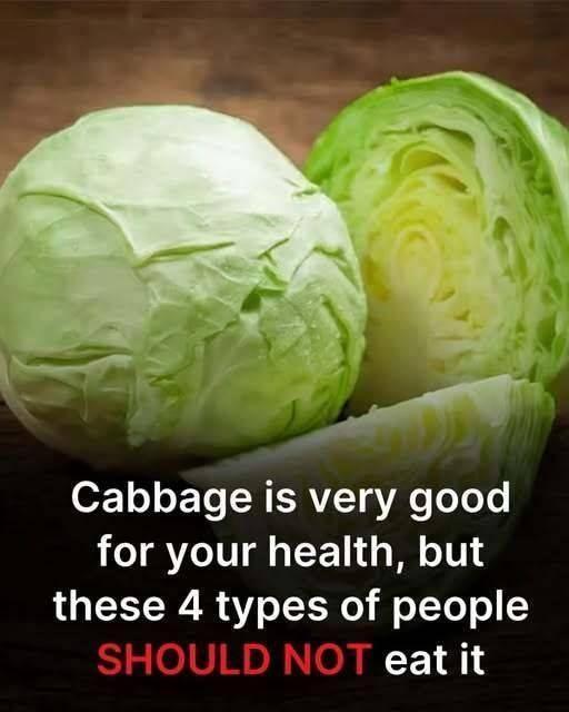 cabbage