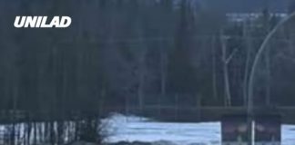 Mass shooting at Canadian school and home leaves 9 dead in rare massacre