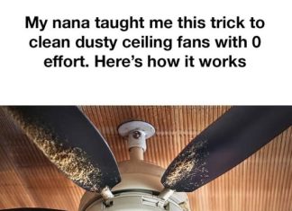 My Nana Taught Me This Trick to Clean Dusty Ceiling Fans With Zero Effort. Here’s How It Works