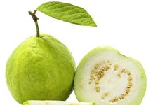 Doctors Reveal What Happens When You Eat Guava Regularly—Science-Backed Benefits (and Who Should Be Cautious)