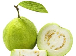 Doctors Reveal What Happens When You Eat Guava Regularly—Science-Backed Benefits (and Who Should Be Cautious)