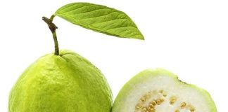 Doctors Reveal What Happens When You Eat Guava Regularly—Science-Backed Benefits (and Who Should Be Cautious)