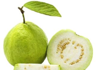 Doctors Reveal What Happens When You Eat Guava Regularly—Science-Backed Benefits (and Who Should Be Cautious)