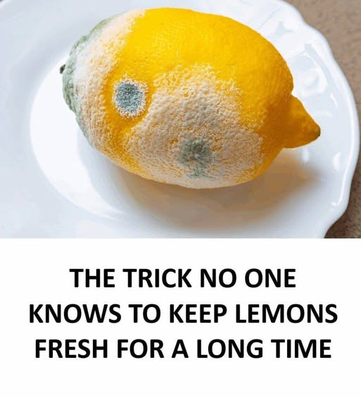 lemon