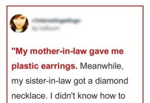MY MOTHER-IN-LAW GAVE ME PLASTIC EARRINGS, AND MY SISTER-IN-LAW RECEIVED A DIAMOND NECKLACE.