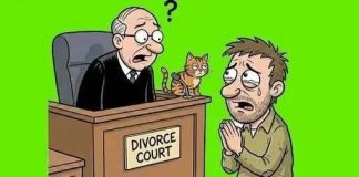 (THE JUDGE’S SECRET) WHY A MAN IMMEDIATELY WITHDREW HIS DIVORCE PETITION AFTER A 5-MINUTE CONVERSATION WITH THE JUDGE