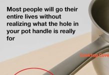 I Had NO Idea This Was a Thing…