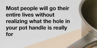 I Had NO Idea This Was a Thing…