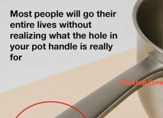 I Had NO Idea This Was a Thing…