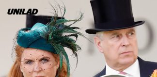 Six companies linked to Sarah Ferguson shut down as her relationship with Epstein surfaces