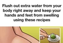 Love these recipe ideas