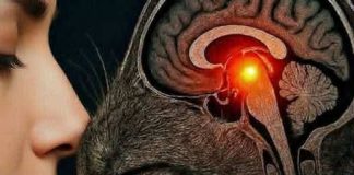 (THE HIDDEN WARNING) WHY THAT ONE COMMON DETAIL ISN’T AS INNOCENT AS IT LOOKS AND THE SECRET MEANING MOST PEOPLE COMPLETELY MISS