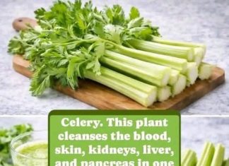 Cleanses the Liver 150 Times More Powerful Than Garlic and Lemon: Grandma’s Miracle Recipe