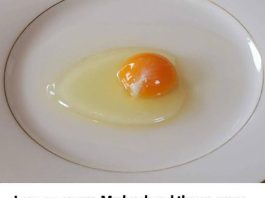 THE 3-SECOND KITCHEN HACK FOR FRESHNESS (HOW THE EGG FLOAT TEST REVEALS IF YOUR BREAKFAST IS ACTUALLY SAFE TO EAT)