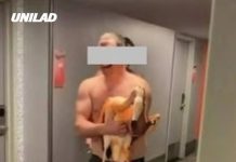 Tourist arrested after allegedly kidnapping flamingo in Las Vegas and is now facing serious charges