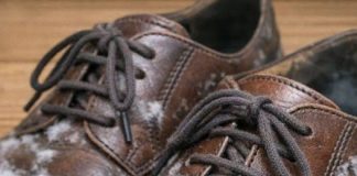 I pulled out shoes I haven’t worn all winter and found white fuzzy patches growing on the leather. What is this?