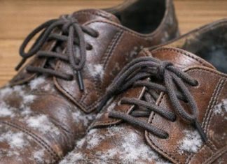 I pulled out shoes I haven’t worn all winter and found white fuzzy patches growing on the leather. What is this?